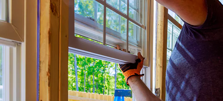 Decorative Window Film Services in Kissimmee, FL
